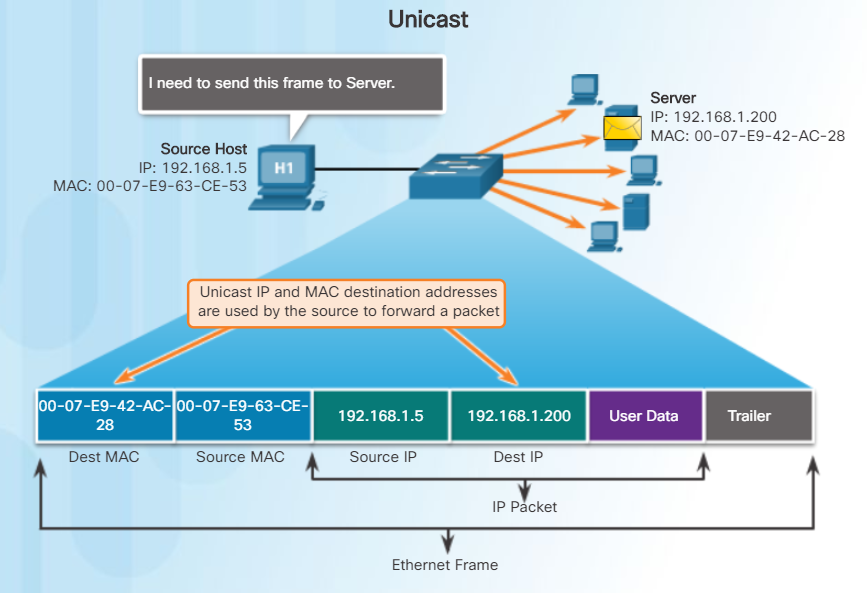 Net 6.0 install. Мультикаст бродкаст юникаст. VLAN на основе Mac-адресов.. Unicast рассылка. Mac address Packet.